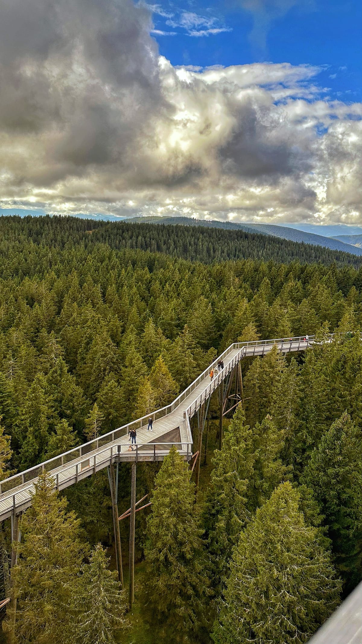 Šetnja iz ptičje perspektive Istaknuta slika objave