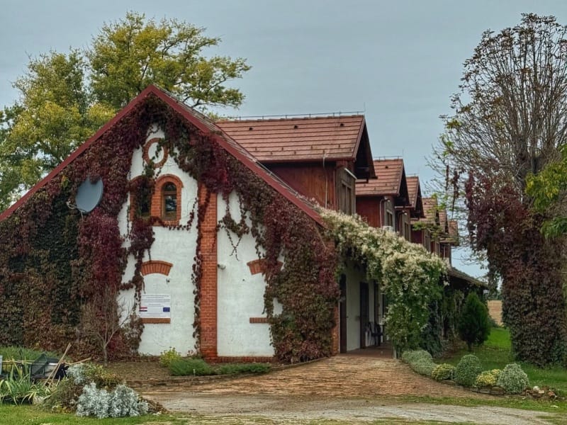 Otkrijte Slavoniju: Plemićka ruta, Kuća čaja, dvorac u kojem možete besplatno spavati i još mnogo toga Istaknuta slika objave