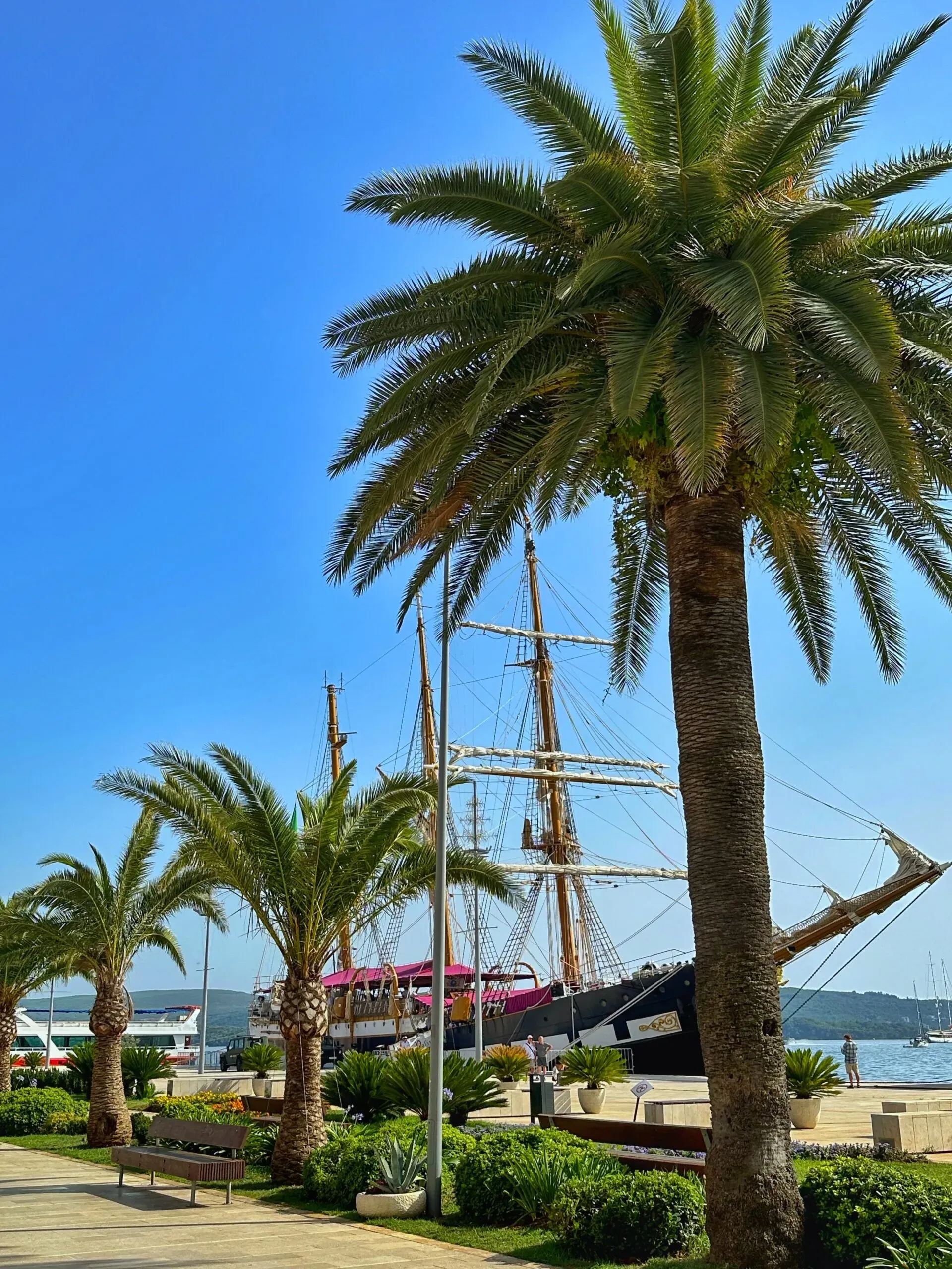 Tivatskih sedam dana Istaknuta slika objave