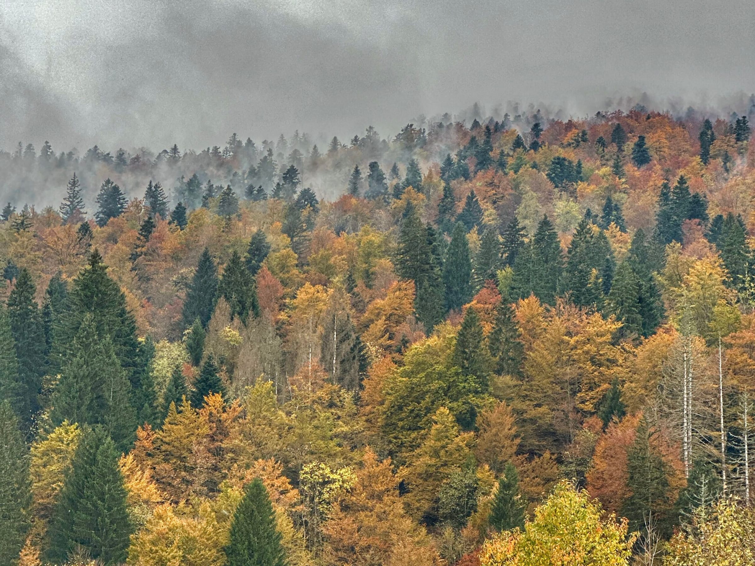 Jesenski vikend u kući iz bajke podno Bjelolasice Istaknuta slika objave